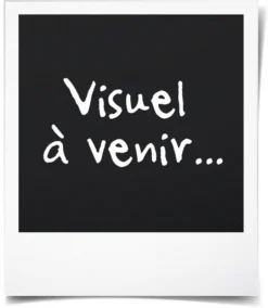 Spin Master Spielwaren PAW Patrol Helikopter-Fahrzeug Mit Skye-Figur (Basic Vehicle/Basis Fahrzeug) Spielzeugautos Autos Autos Spielautos Hundefigur Auswahlspinmaster Spinmasterauswahl -Spin Master 17acac3ef4e78ca6edfda9c0412ab1d3